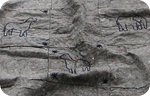 Felt Blanket